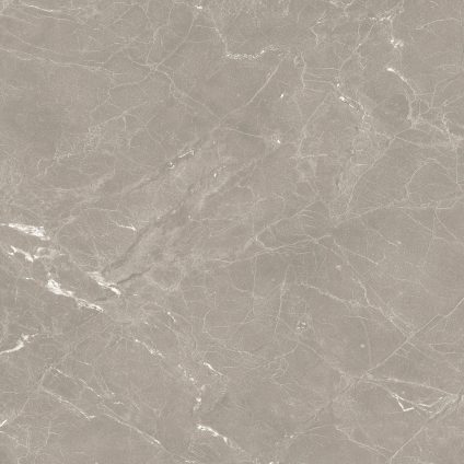 Neeko Taupe RC 60x60