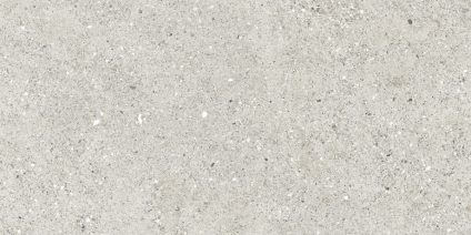 Granito Grigio серый 120x60