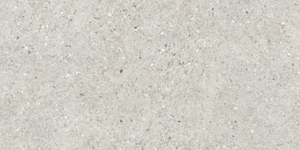 Granito Grigio серый 120x60