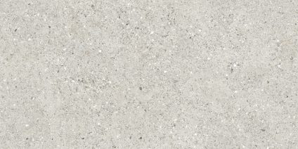 Granito Grigio серый 120x60
