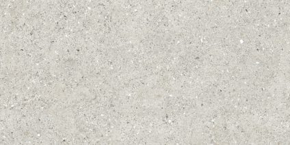 Granito Grigio серый 120x60