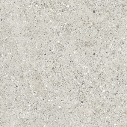 Granito Grigio серый 60x60