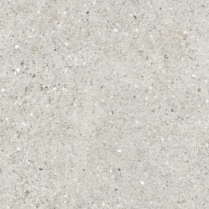 Granito Grigio серый 60x60
