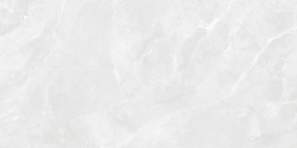 Regnum Bianco серый светлый 120x60