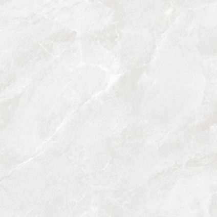 Regnum Bianco серый светлый 60x60