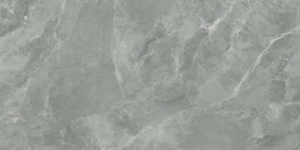 Regnum Grigio серый 120x60