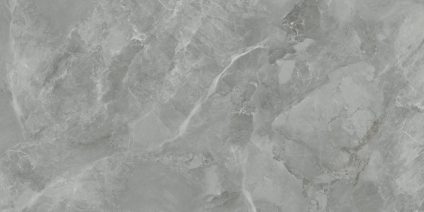 Regnum Grigio серый 120x60