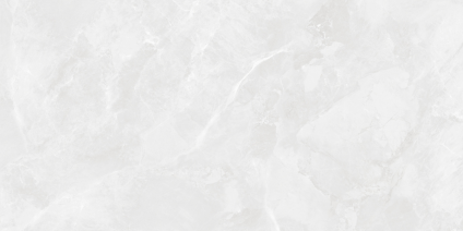Regnum Bianco серый светлый 120x60