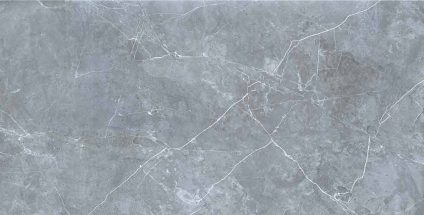 Petra northern silver 600х1200