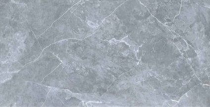 Petra northern silver 600х1200