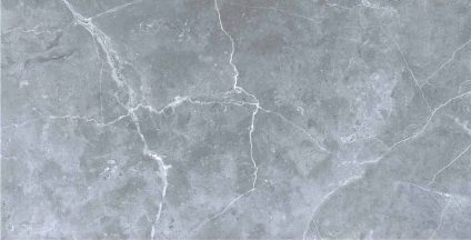 Petra northern silver 600х1200