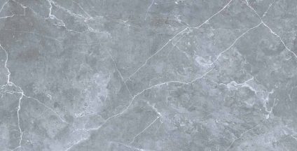 Petra northern silver 600х1200