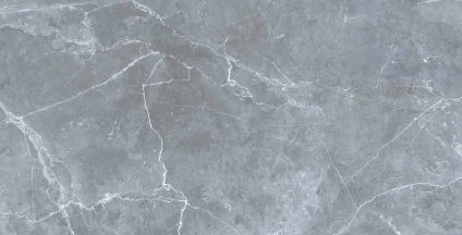 Petra northern silver 600х1200
