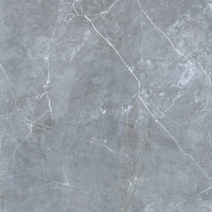 Petra northern silver 600х600