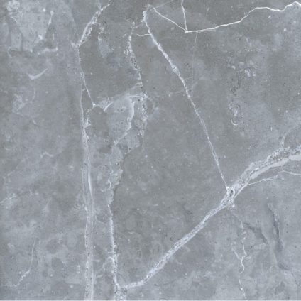 Petra northern silver 600х600