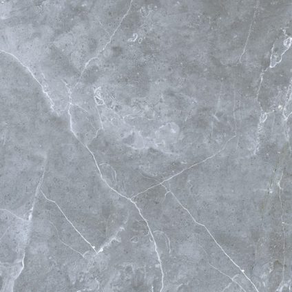 Petra northern silver 600х600
