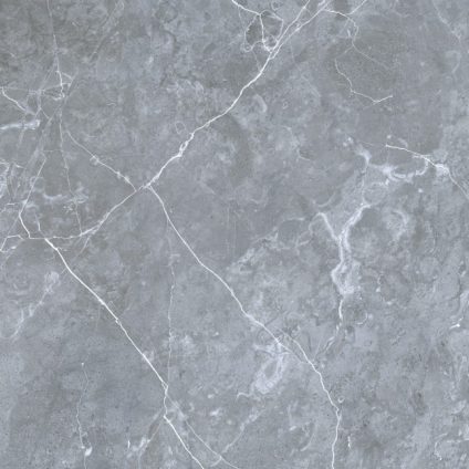 Petra northern silver 600х600