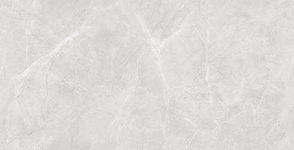 Moscato Silver 600х1200