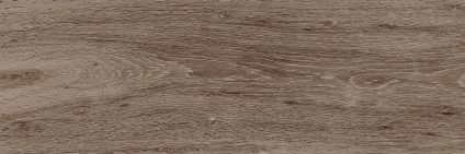 Baikal brown PG 02