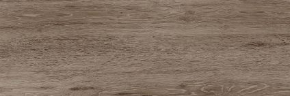 Baikal brown PG 02