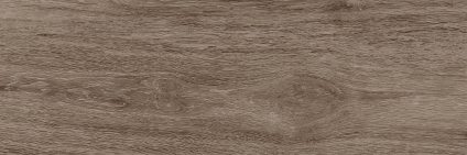 Baikal brown PG 02