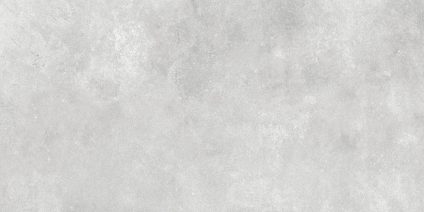 Concrete Silver