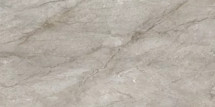 Silver Root