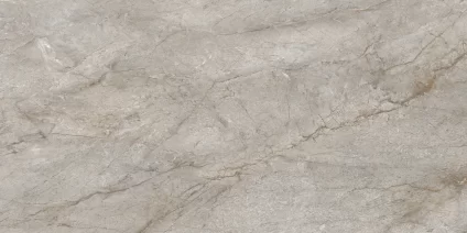 Silver Root