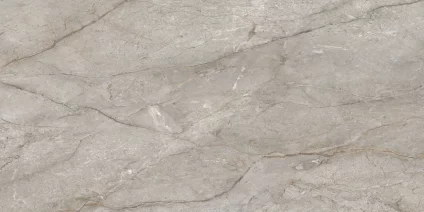 Silver Root