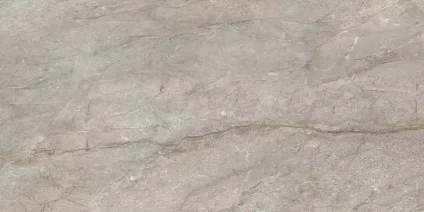 Silver Root