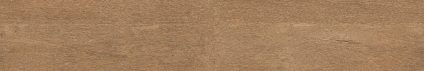 Forest Chestnut 