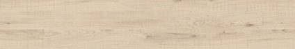 Forest Crema 