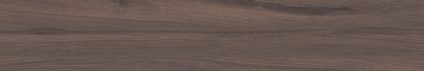 Forest Umber 