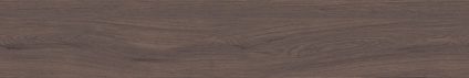 Forest Umber 
