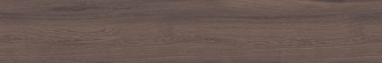 Forest Umber 