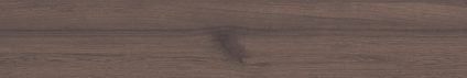 Forest Umber 
