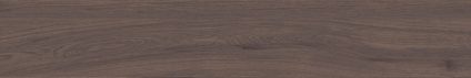 Forest Umber 