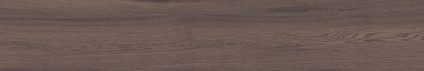 Forest Umber 