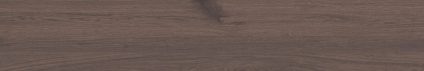 Forest Umber 