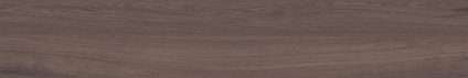 Forest Umber 