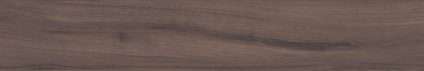 Forest Umber 