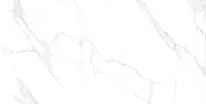 Carrara Anita glossy рект.
